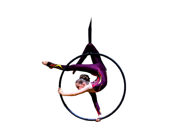 Aerial Hoop